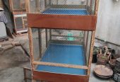 3 Portion Wooden Pinjra Cage Brooder by M.A Birds