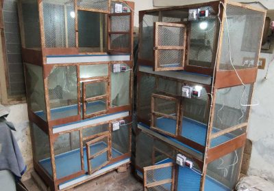 e0f272da-41e5-4ae4-89c3-4e759e60a198