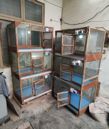 3 Portion Wooden Pinjra Cage Brooder by M.A Birds