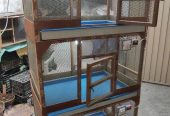3 Portion Wooden Pinjra Cage Brooder by M.A Birds
