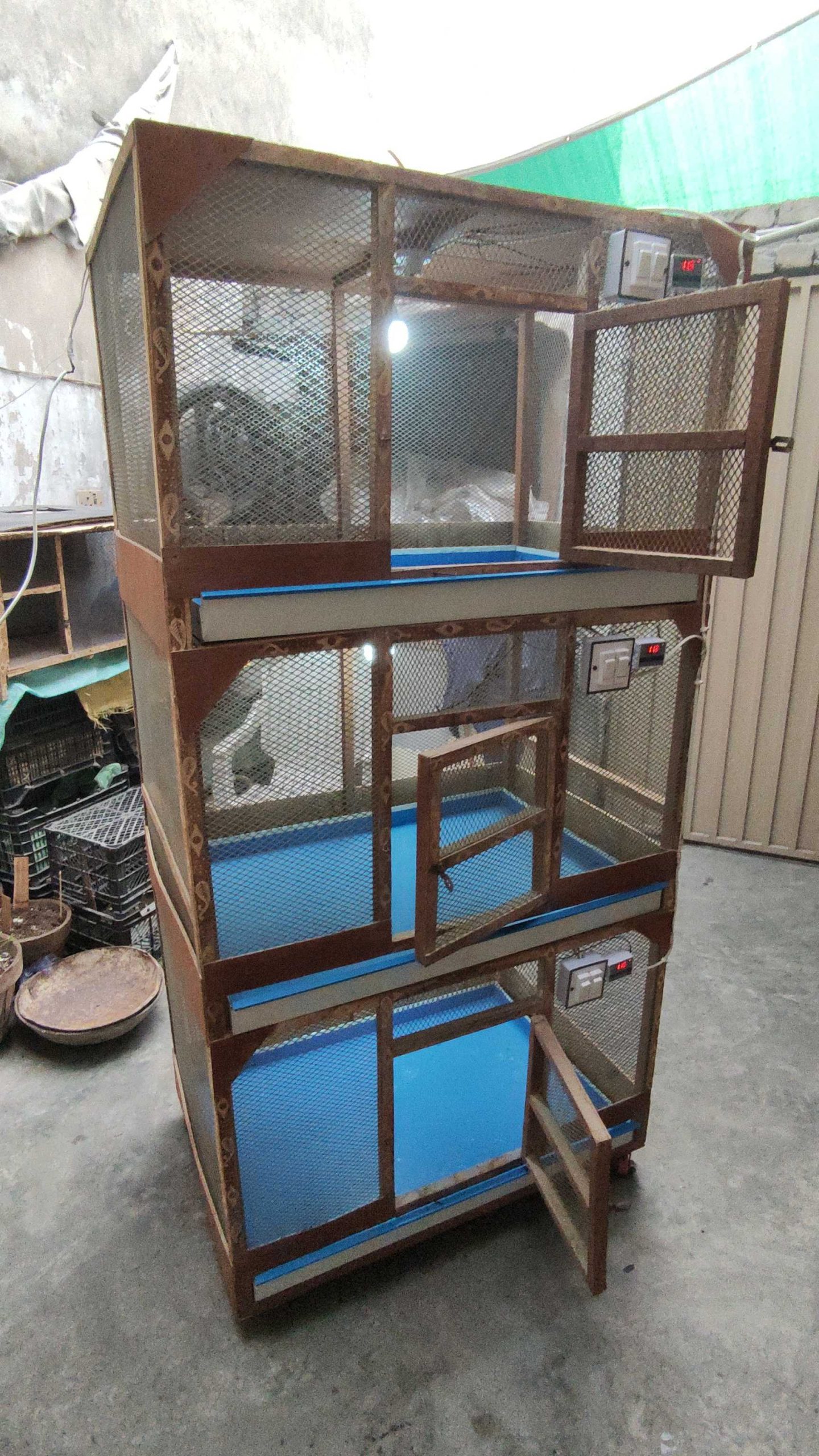 3 Portion Wooden Pinjra Cage Brooder by M.A Birds