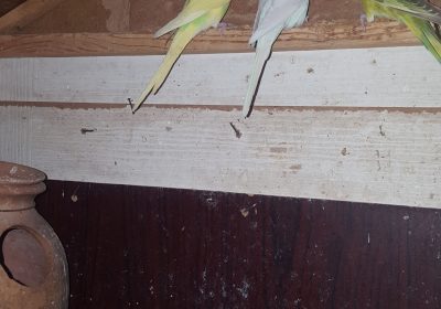 1537ea49-8af1-4387-b3fc-914b6b09845f