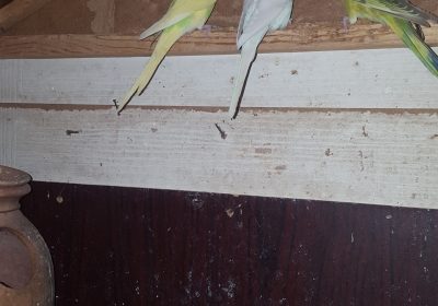 58040a44-fb24-4856-a898-e588b54870a8