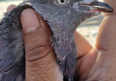 02381693-ab3a-4045-85e8-6079b7175712