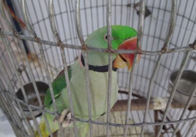 1e37b112-f1ae-445f-9f85-2667e3f0cb0d