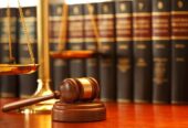 Advocate Wakeel by Advocate Ali