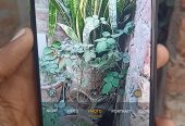 OPPO a54 Black Color by Shahzaib Ali Zulfiqar