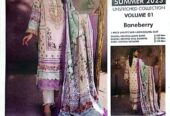 Spring vol 1 by Ali Raza