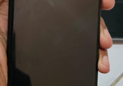 53010233-215b-4085-9c6d-bfdfdc97a354