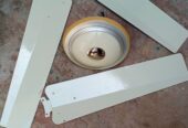 Electric selling fan by Rana Muzamal