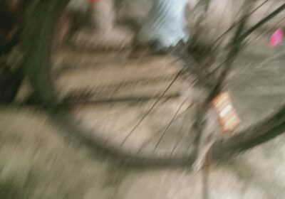 efcfff45-fadf-422a-ad65-d37b35595c72