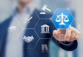 Lawyer Advocate by Advocate Ali