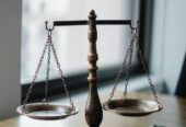 Lawyer Advocate by Advocate Ali
