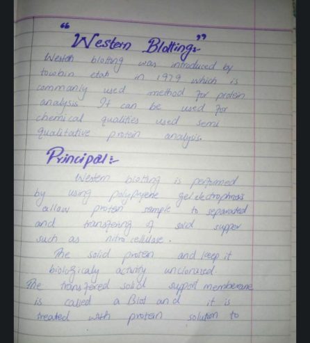Assignments typing and hand written by Hadi Shan