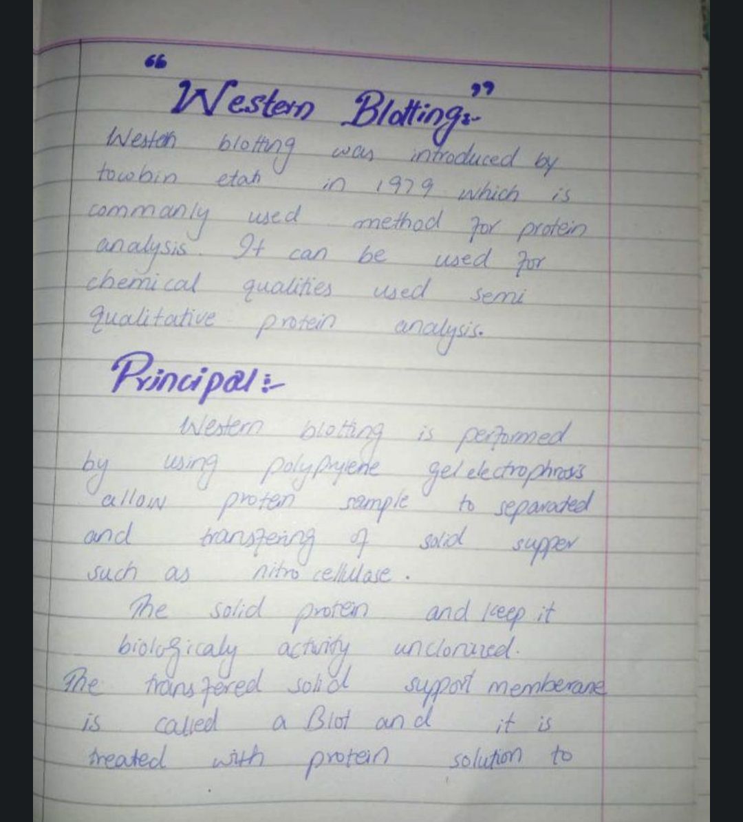 Assignments typing and hand written by Hadi Shan