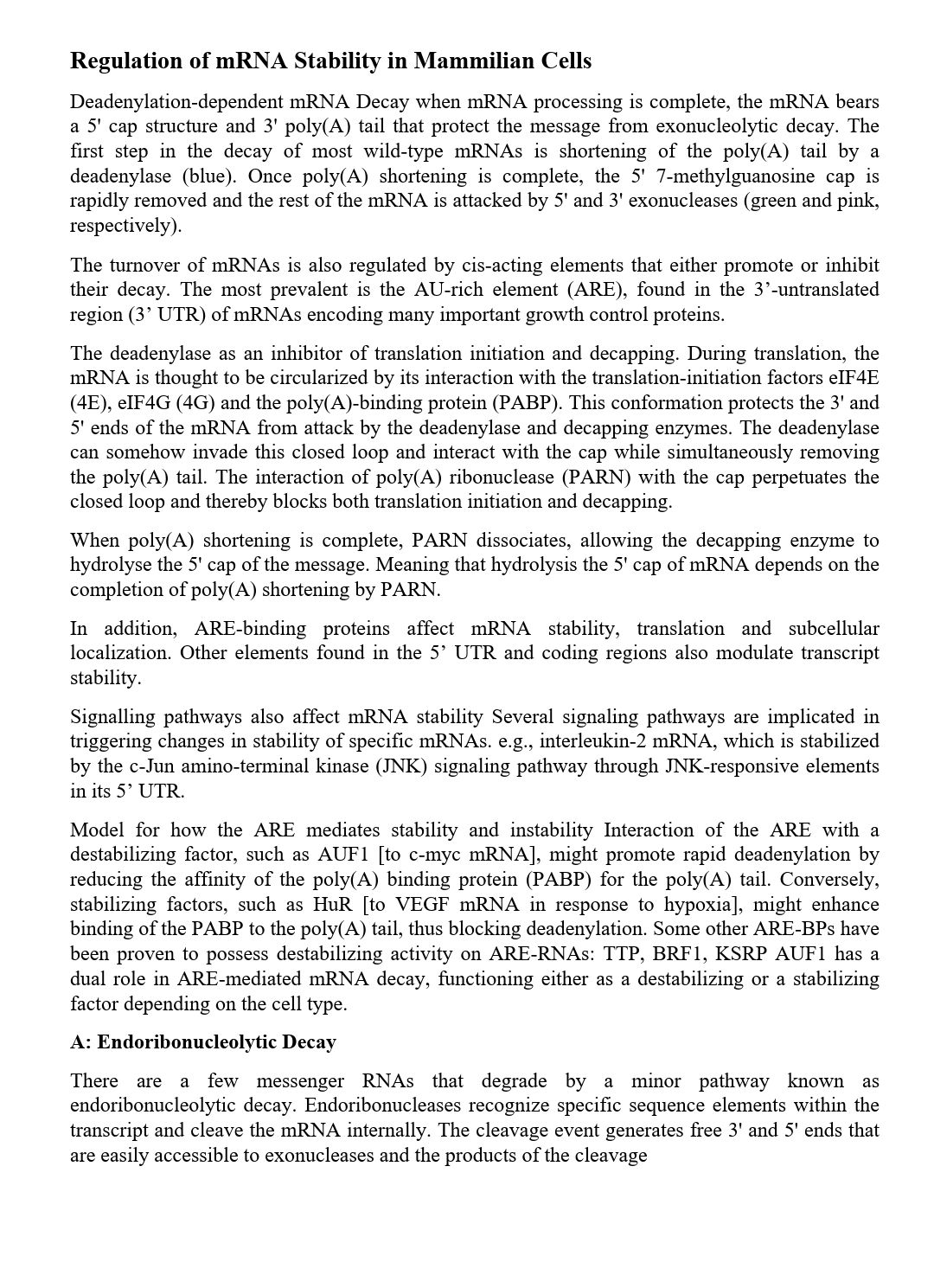 Assignments typing and hand written by Hadi Shan