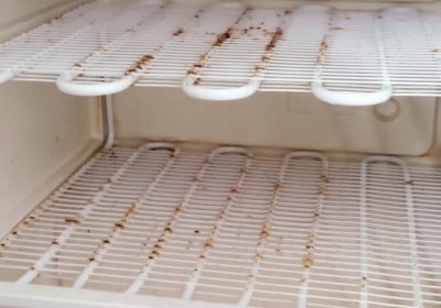 995be243-e52c-4232-a130-3c45b16b9a8a