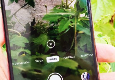 e03681ee-b14b-4be3-8192-3445402756cd