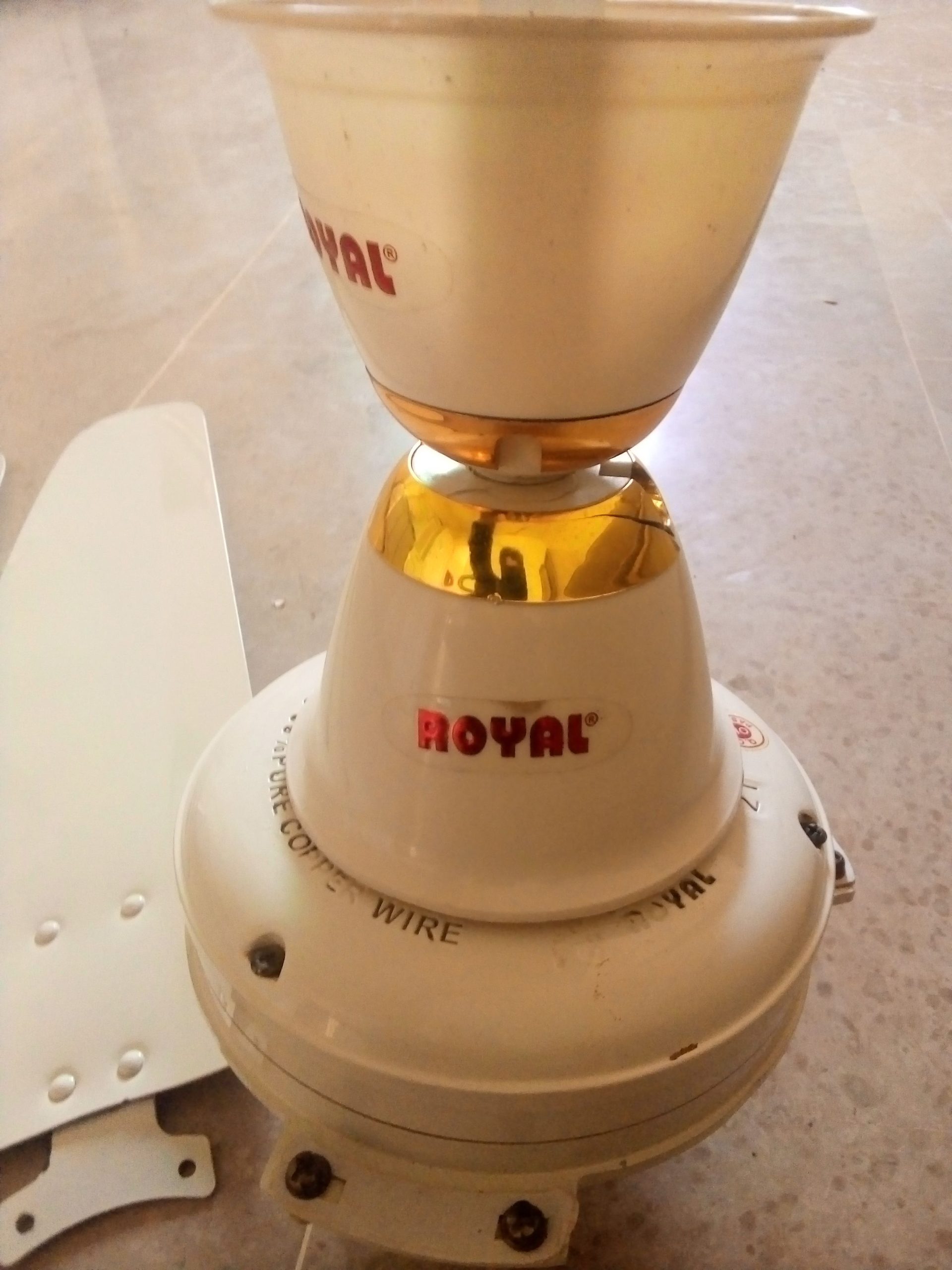 Royal fans by MUSHTAQ Malik