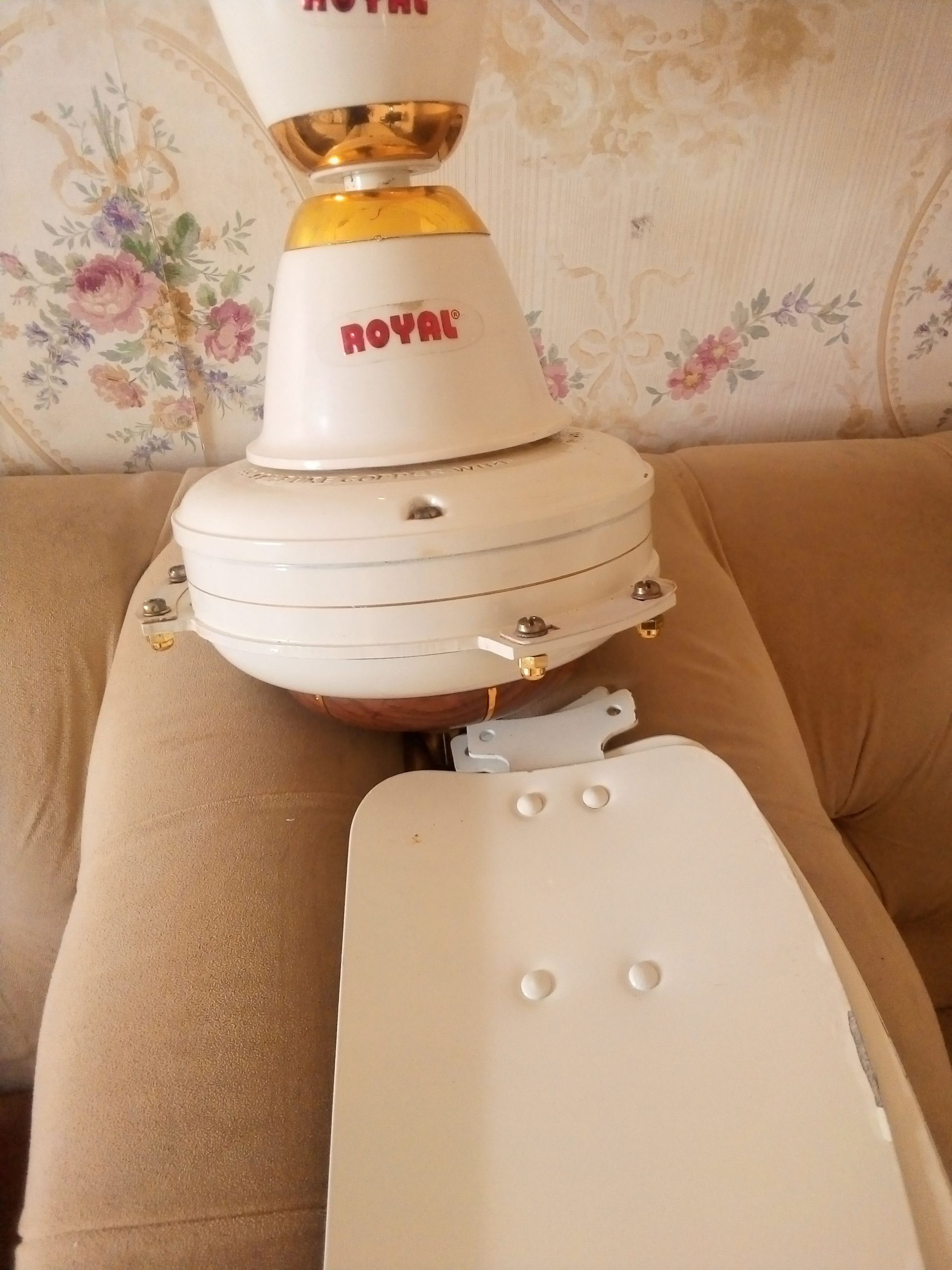 Royal fans by MUSHTAQ Malik