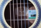 Guitar by Ali Mouzzam
