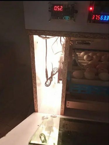 Inqubator for sale by Dr Iram