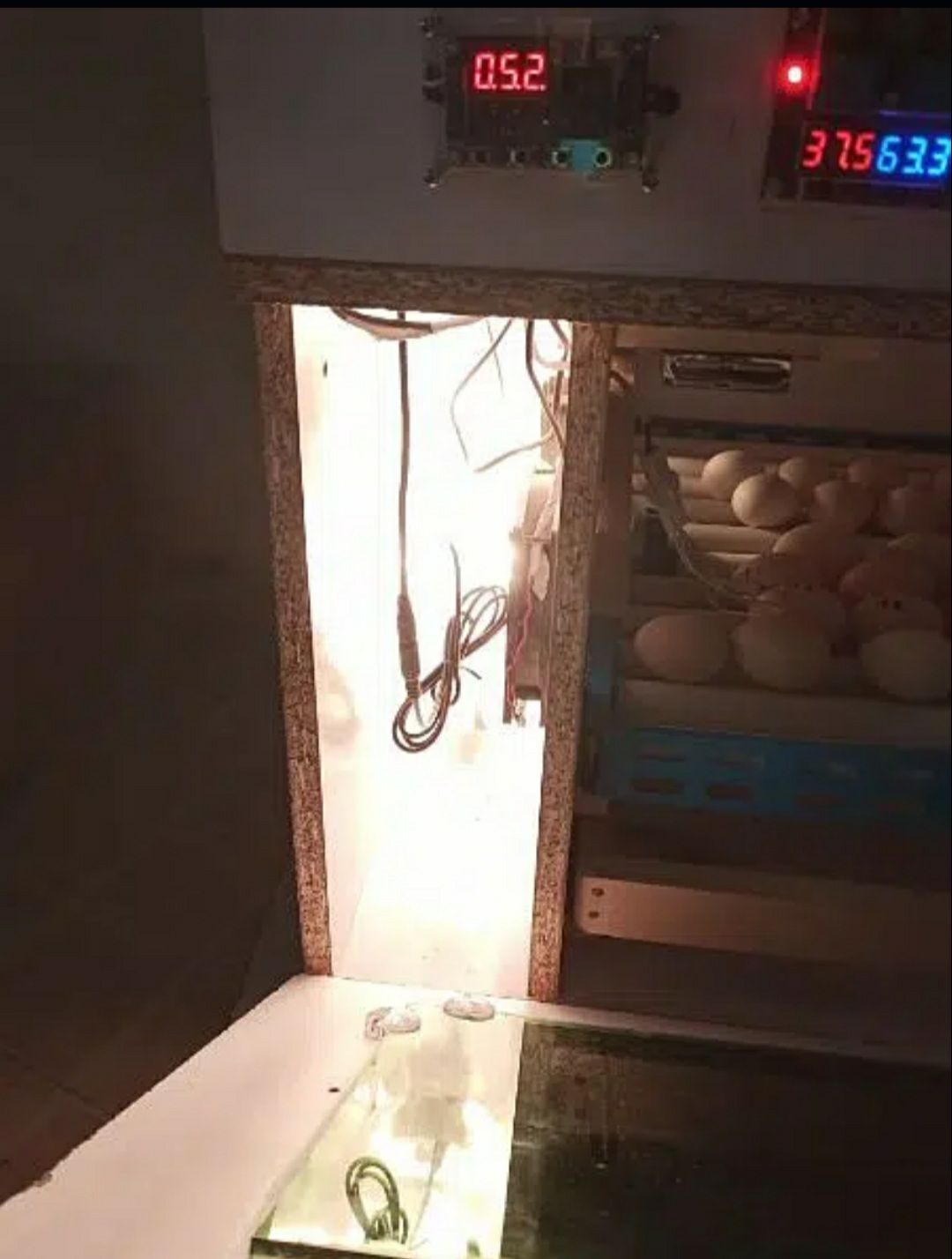 Inqubator for sale by Dr Iram