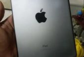 Apple by ZARAR KHALID