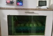 Inqubator for sale by Dr Iram