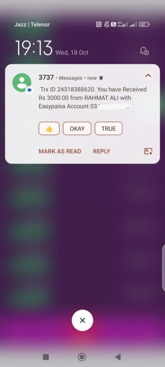 SegaEarn daily Earn 3000 to 5000 by AYESHA SADIQA