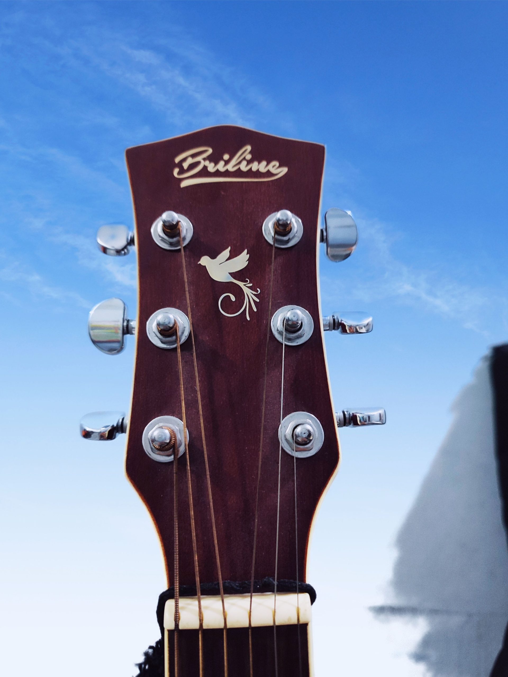 Guitar by Ali Mouzzam