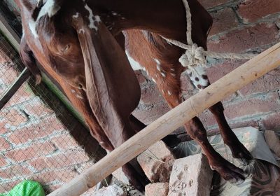 dc0be9c2-ac8b-4739-bffa-135c79fd5711