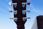 Guitar by Ali Mouzzam