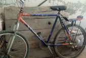 Phoenix wheller cycle urgent sale by Khan King