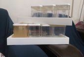 Spice Box by ayesha kamran
