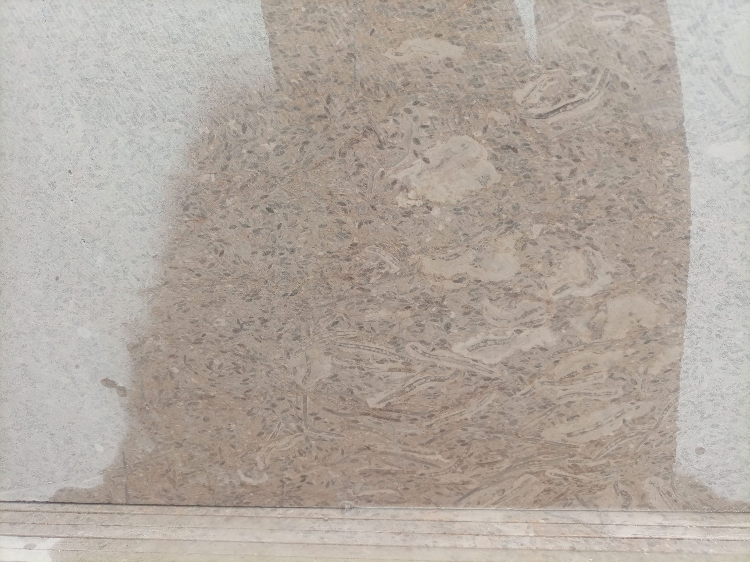 Tippy Marble for floor by Shehbi Khan