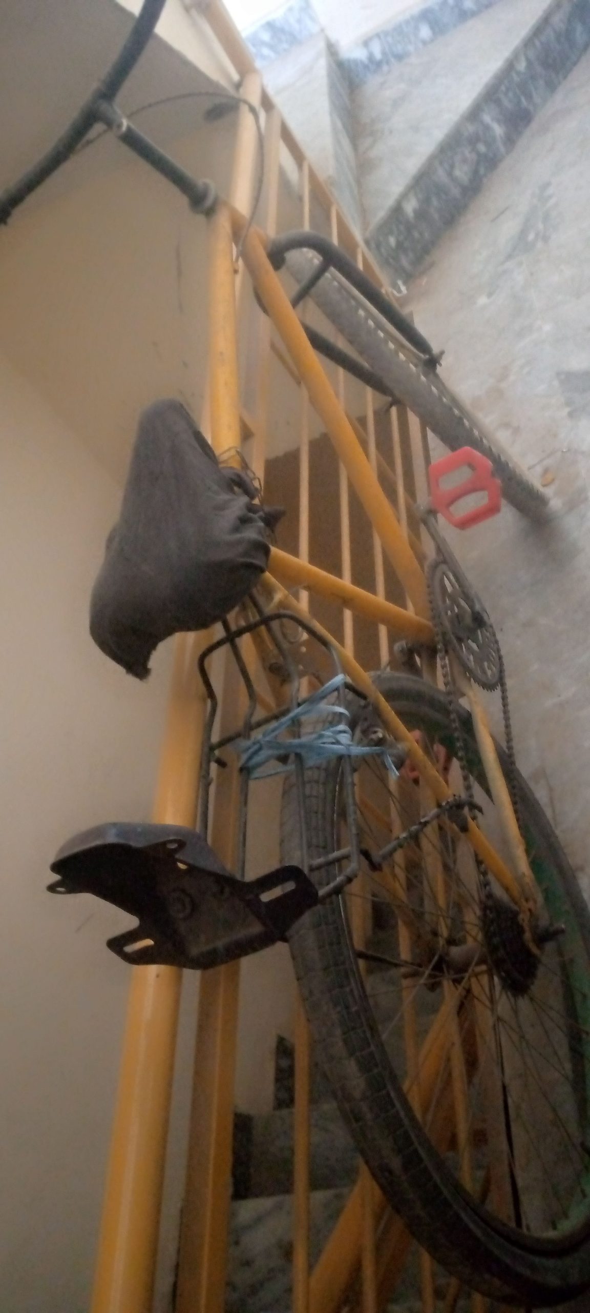 Race cycle by Abdul Samad