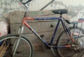 Phoenix wheller cycle urgent sale by Khan King