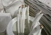 Crockery dinner set by Rabia Usman