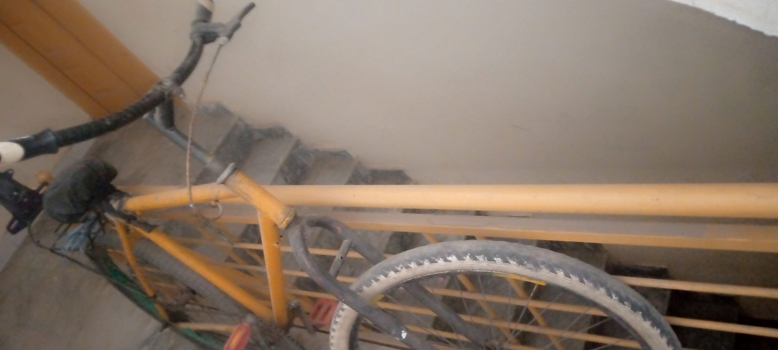 Race cycle by Abdul Samad