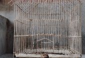 Cage for sale 1.5/2 foot no:03079796323 by Talha Javed
