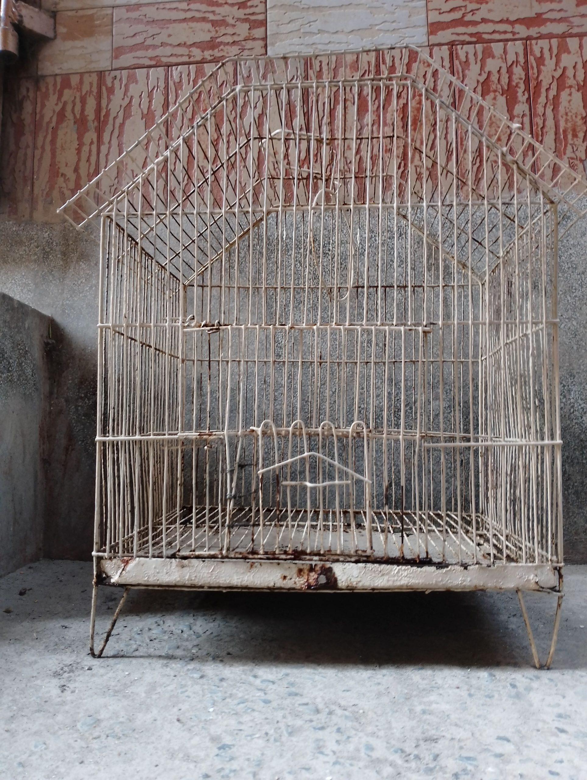 Cage for sale 1.5/2 foot no:03079796323 by Talha Javed