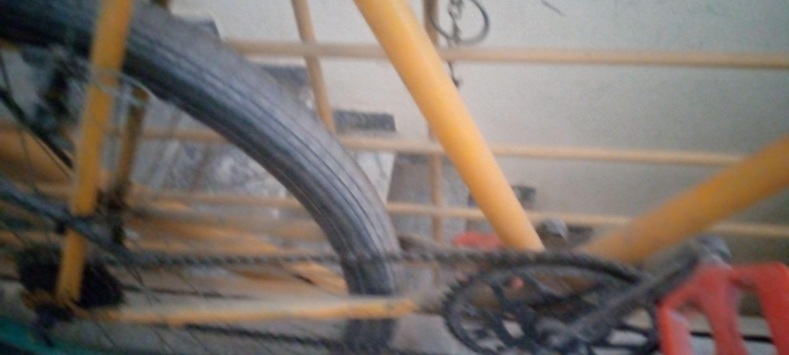 Race cycle by Abdul Samad