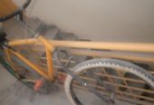 Race cycle by Abdul Samad