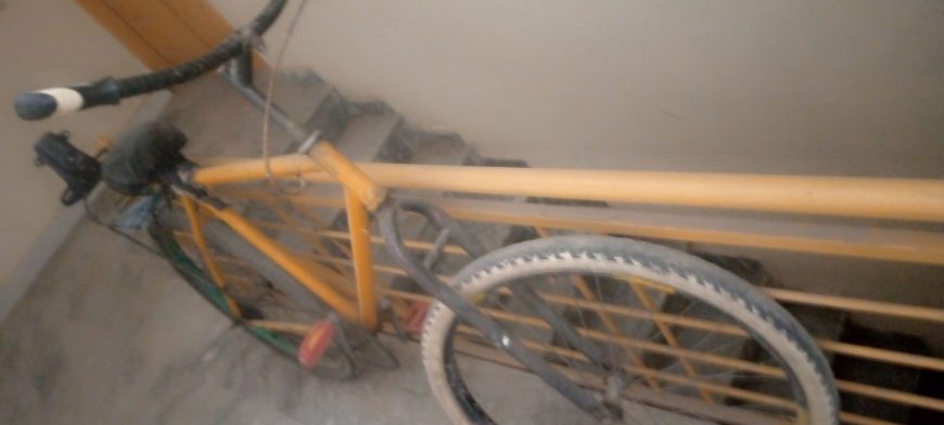 Race cycle by Abdul Samad