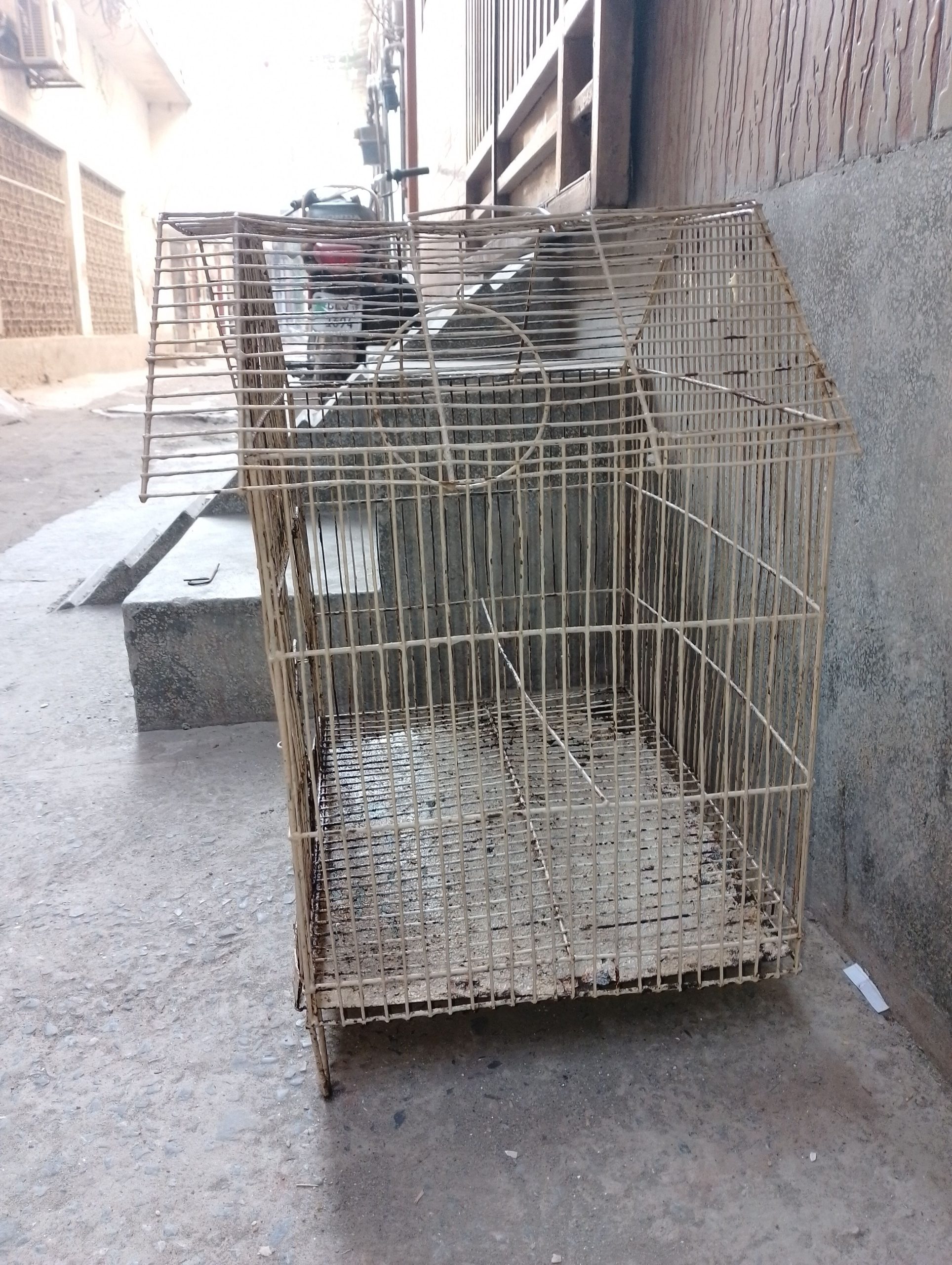 Cage for sale 1.5/2 foot no:03079796323 by Talha Javed