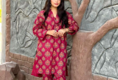 2 pcs women’s stitched linen printed suit by Alishan Saifullah