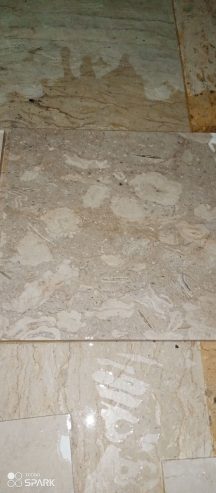 Deals All kins of marble by Shahab Wadaira