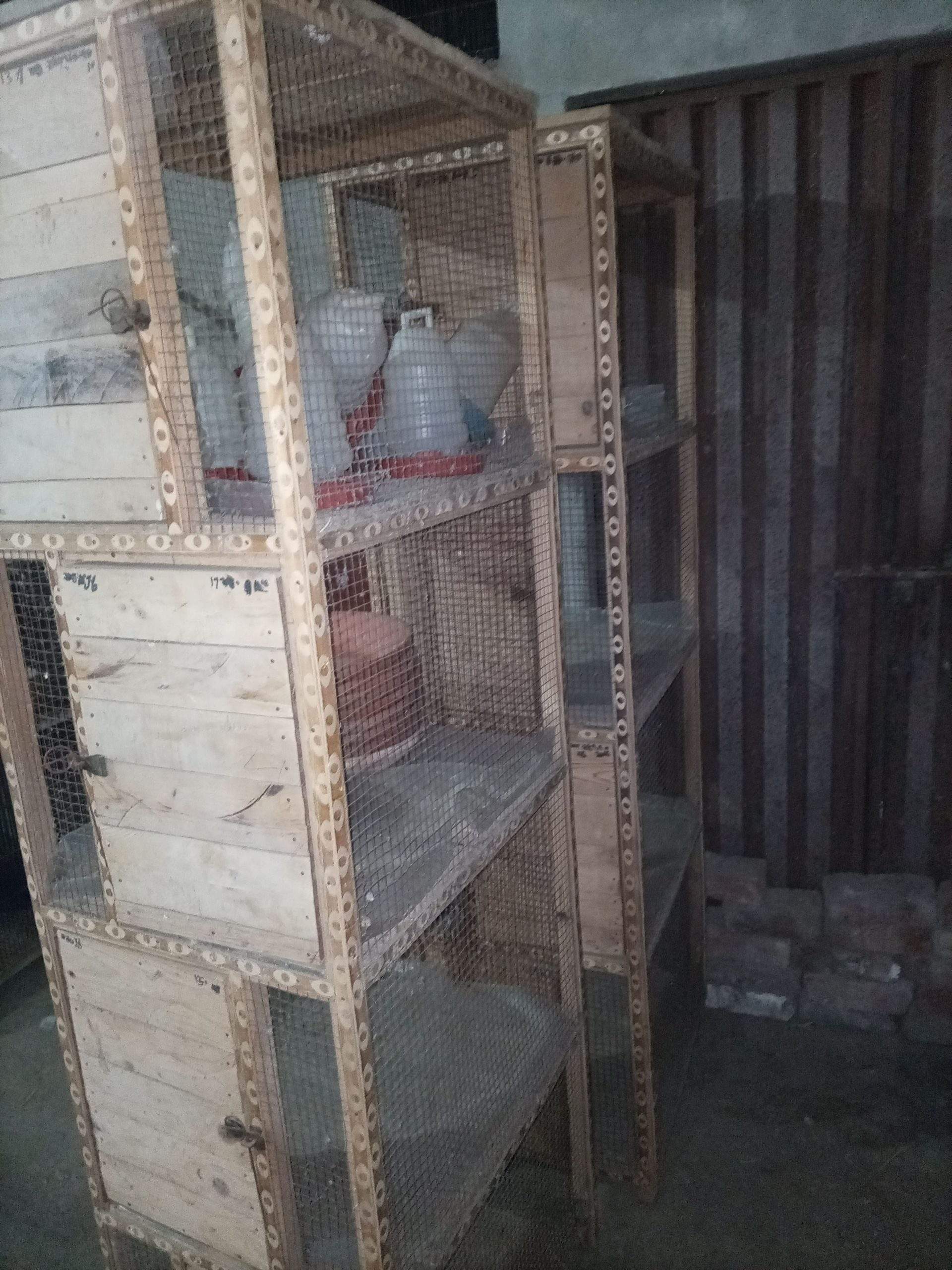 Wooden cages for sale by Hassan iqbal Hassan iqbal