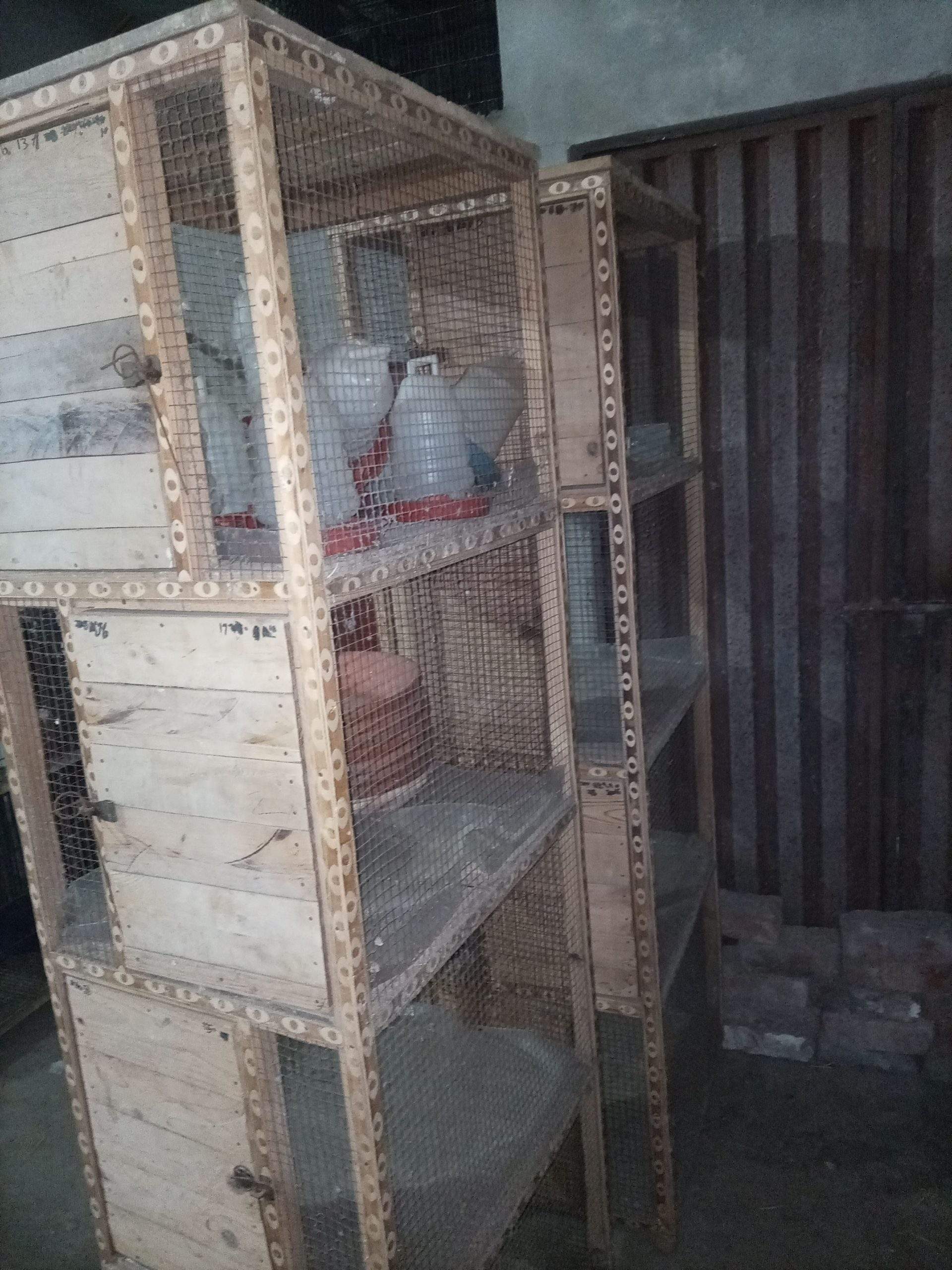Wooden cages for sale by Hassan iqbal Hassan iqbal